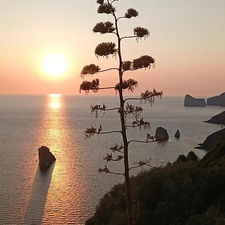 Apartamento I Tramonti Di Barbusi